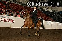 06buckeye_0418 proof