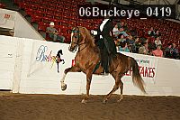 06buckeye_0419 proof