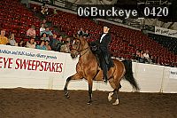 06buckeye_0420 proof