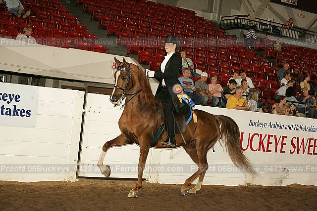 Proof 06buckeye_0423