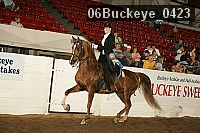 06buckeye_0423 proof