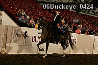 06buckeye_0424 proof