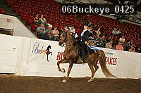 06buckeye_0425 proof