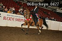 06buckeye_0427 proof