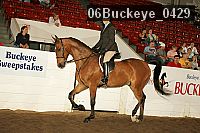 06buckeye_0429 proof