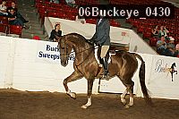 06buckeye_0430 proof