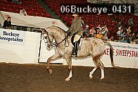 06buckeye_0431 proof