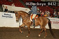 06buckeye_0432 proof