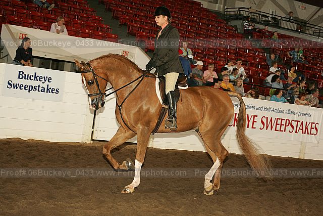 Proof 06buckeye_0433