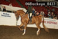 06buckeye_0433 proof