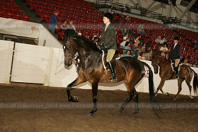 Proof 06buckeye_0434