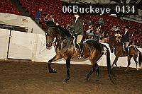 06buckeye_0434 proof