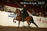 06buckeye_0437 proof