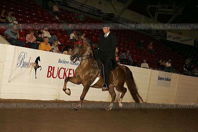 Proof 06buckeye_0438