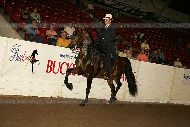 Proof 06buckeye_0440