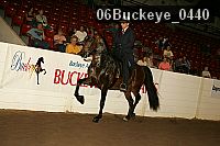 06buckeye_0440 proof