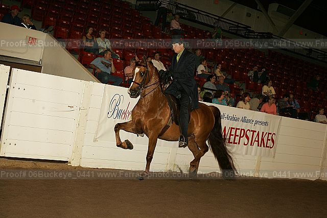 Proof 06buckeye_0441