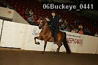 06buckeye_0441 proof