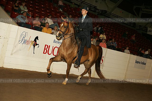 Proof 06buckeye_0442