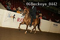 06buckeye_0442 proof