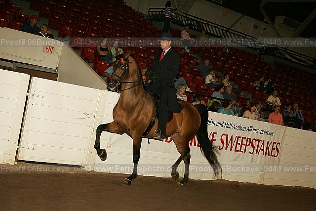 Proof 06buckeye_0443