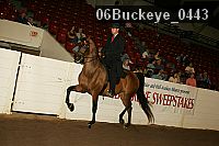 06buckeye_0443 proof