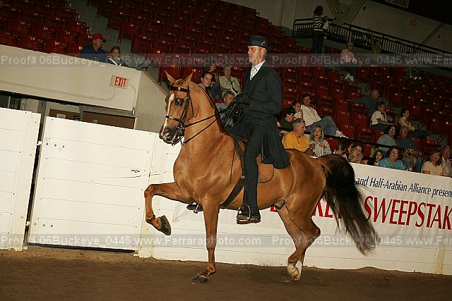 Proof 06buckeye_0445