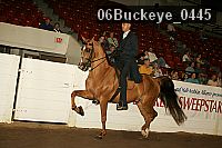 06buckeye_0445 proof