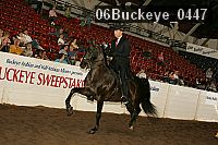 06buckeye_0447 proof