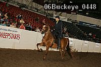 06buckeye_0448 proof