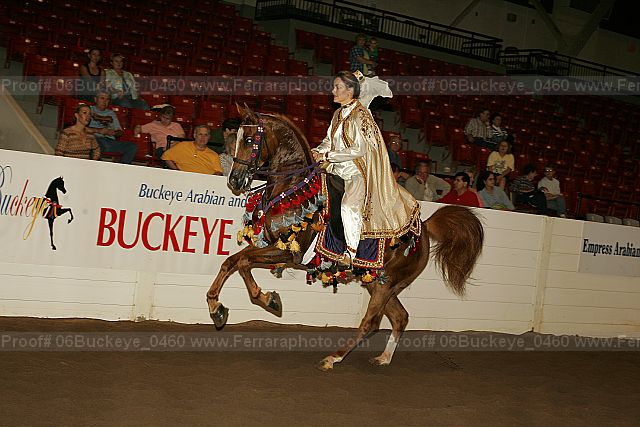 Proof 06buckeye_0460