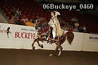 06buckeye_0460 proof