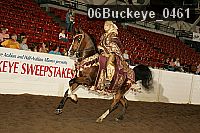 06buckeye_0461 proof