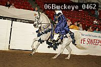 06buckeye_0462 proof
