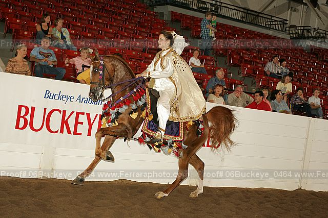 Proof 06buckeye_0464