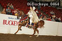 06buckeye_0464 proof