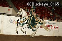 06buckeye_0465 proof