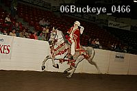 06buckeye_0466 proof