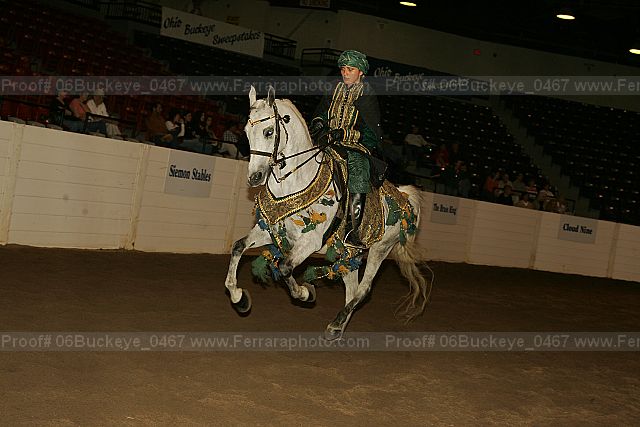 Proof 06buckeye_0467