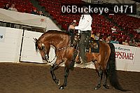 06buckeye_0471 proof