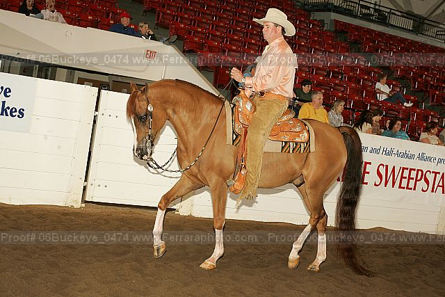 Proof 06buckeye_0474