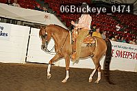 06buckeye_0474 proof