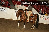 06buckeye_0475 proof