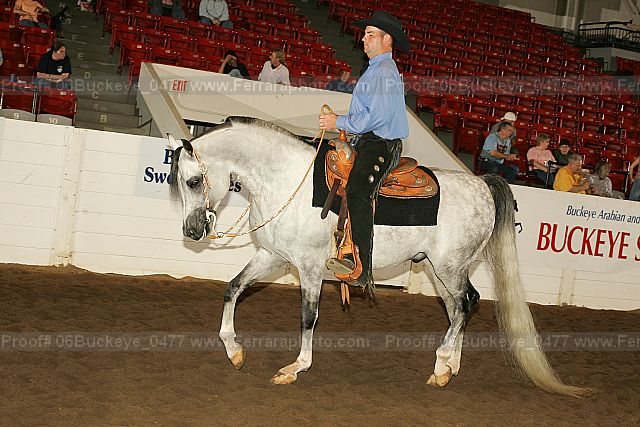 Proof 06buckeye_0477