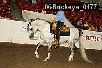 06buckeye_0477 proof