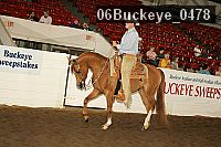 06buckeye_0478 proof