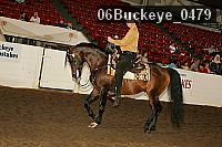 06buckeye_0479 proof