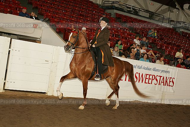Proof 06buckeye_0485