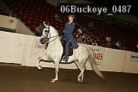 06buckeye_0487 proof