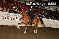 06buckeye_0488 proof